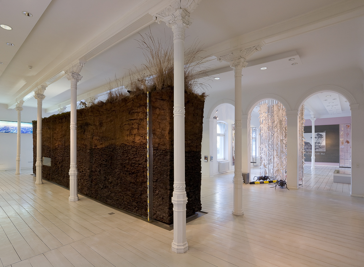 www.grimmenstein.de Museum Mensch und Natur Oldenburg